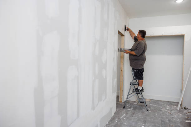 Best Mold Remediation for Healthcare Facilities  in Monmouth, IL