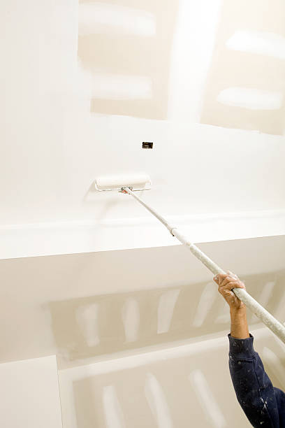 Best Mold Prevention Services  in Monmouth, IL