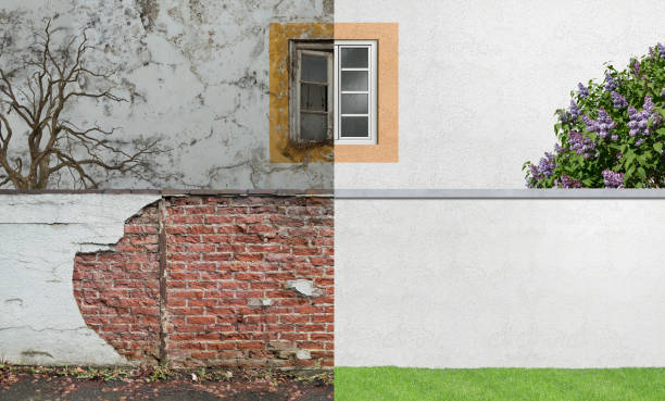 Best Mold Prevention Services  in Monmouth, IL