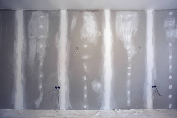 Best Post-Construction Mold Inspection  in Monmouth, IL